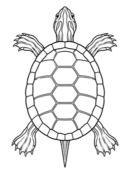Geometric shell line art in this painted turtle coloring page viewed from above.