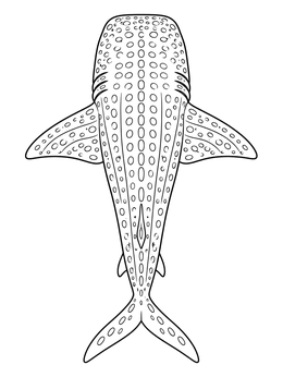 Free printable Top View Whale Shark Pattern coloring page