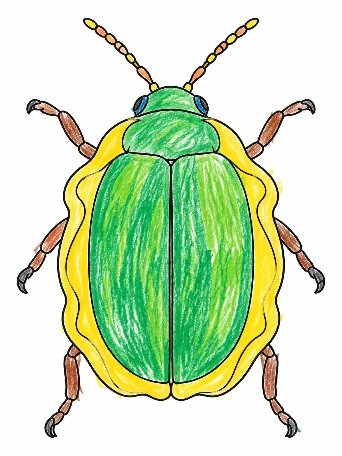 Colored example of the Tortoise Beetle Top View Line Art coloring page