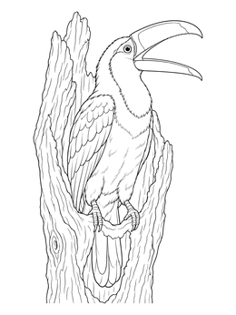 A detailed toucan coloring page featuring the bird perched in a tree trunk with its beak open.