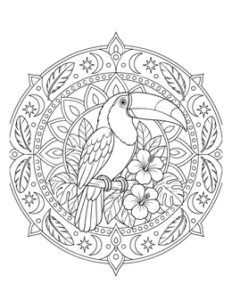 A detailed toucan coloring page framed inside an ornate mandala with moons and stars.
