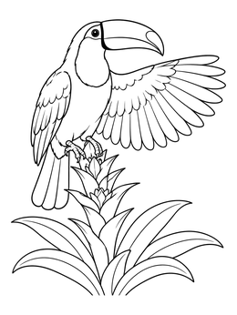 A toucan coloring page featuring a bird stretching its wing atop a lush tropical bromeliad plant.