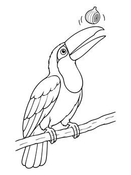 A cheerful toucan coloring page featuring the bird catching a small fig in midair.