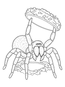 A detailed trapdoor spider coloring page showing the arachnid lifting its mossy burrow cover.