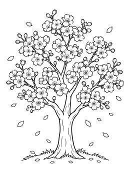 A blooming cherry tree coloring page with delicate petals gently falling around the branches.