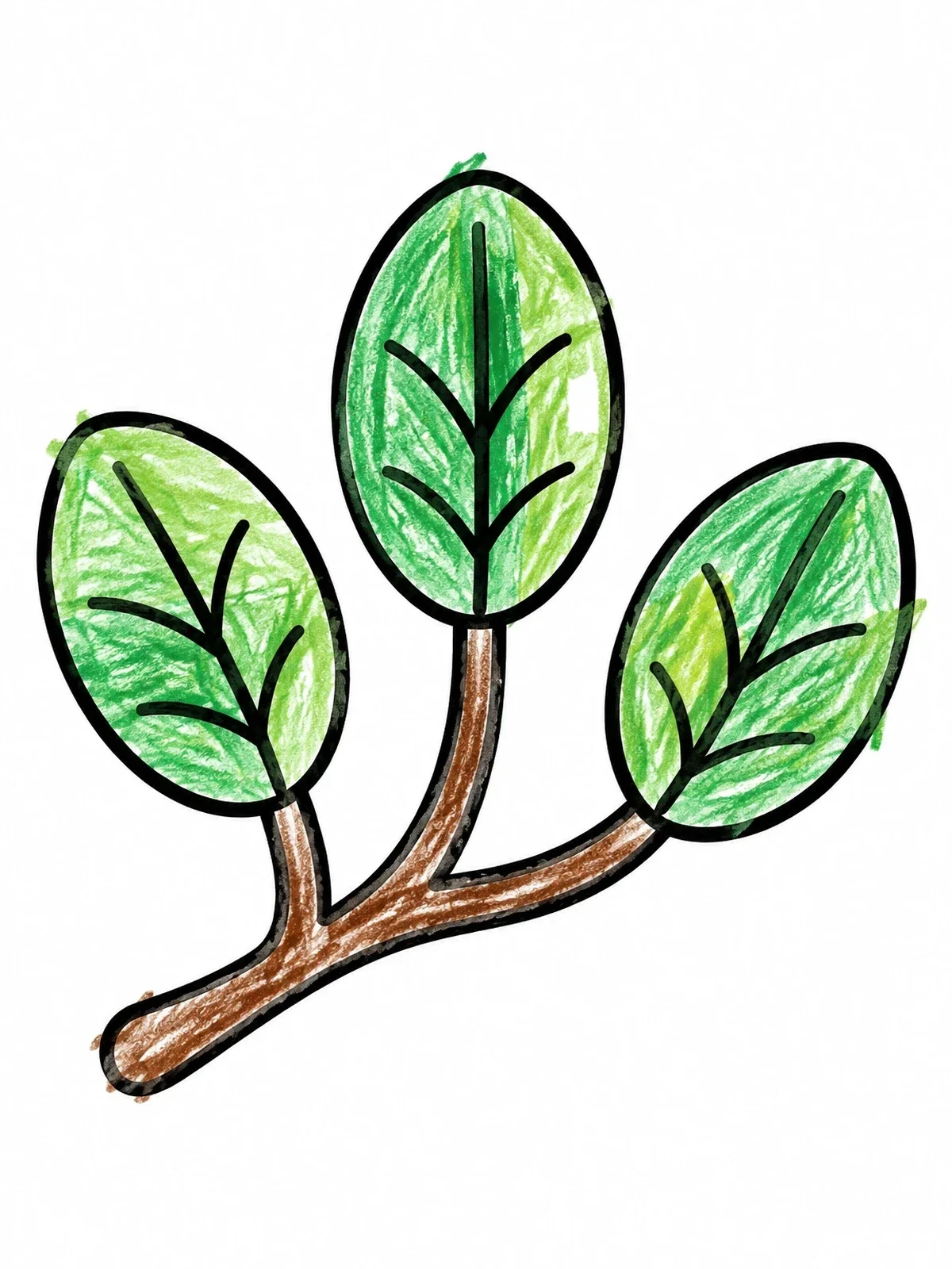 Colored example of the Simple Branch With Three Leaves coloring page