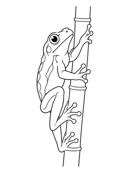 A detailed frog coloring page showing a tree frog gripping a tall bamboo stalk.
