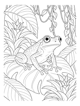 A detailed frog coloring page resting on a jungle leaf surrounded by bromeliads.