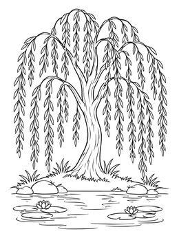 A serene weeping willow tree coloring page standing beside a pond with blooming water lilies.