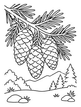A detailed tree coloring page with pine cones hanging on an evergreen branch in nature.