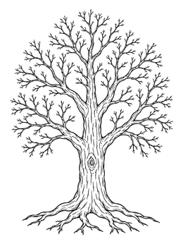 Free printable Detailed Bare Oak Tree coloring page