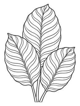 Detailed calathea leaves coloring page with wavy line patterns.