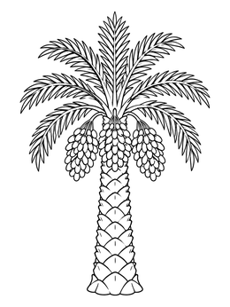 Free printable Tropical Date Palm Tree coloring page