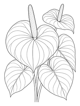Free printable Blooming Anthurium Plant coloring page
