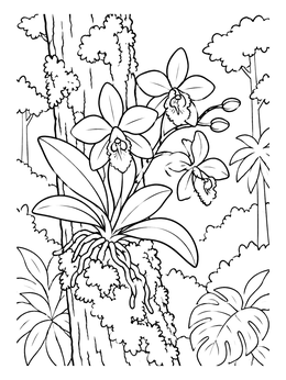 Free printable Wild Orchids On Rainforest Tree coloring page