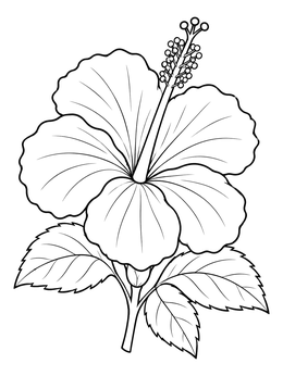 A detailed tropical hibiscus flower coloring page with broad petals and a long stamen.