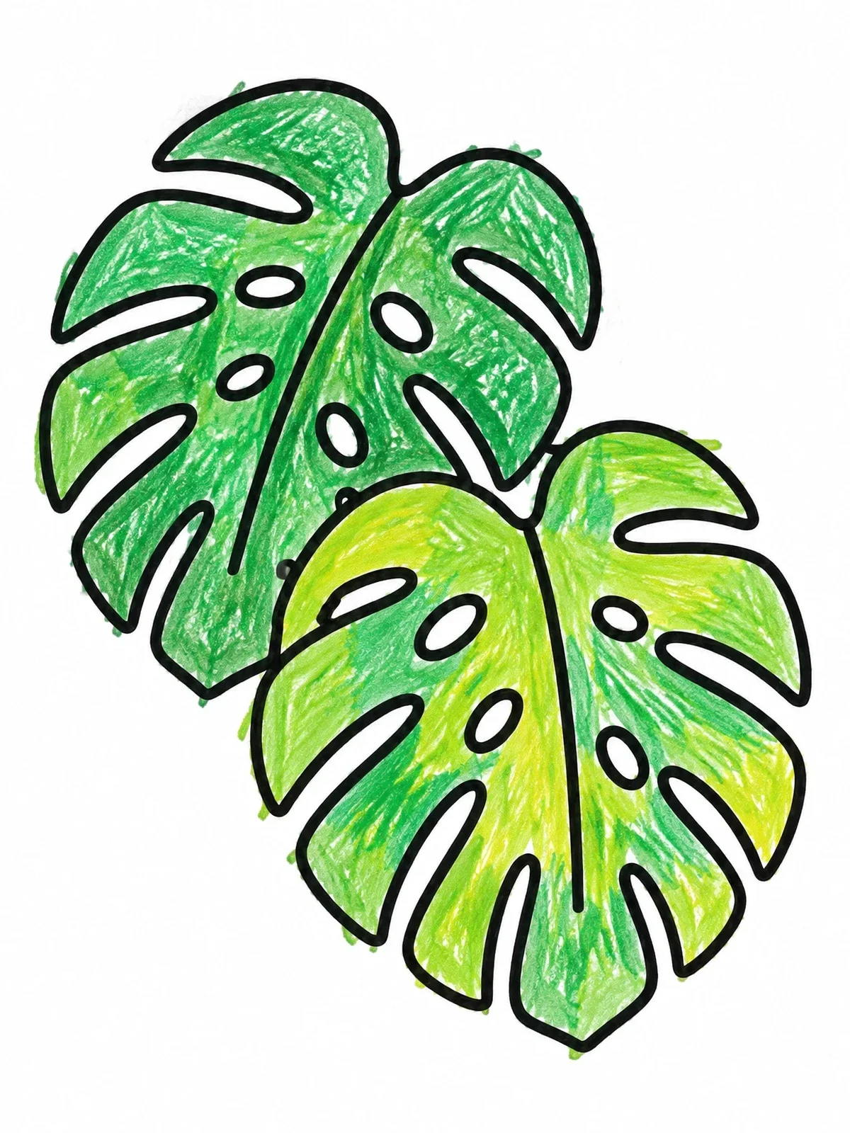 Colored example of the Two Tropical Monstera Leaves coloring page