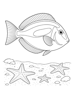 A detailed surgeonfish swims over sea stars on this tropical coloring page.