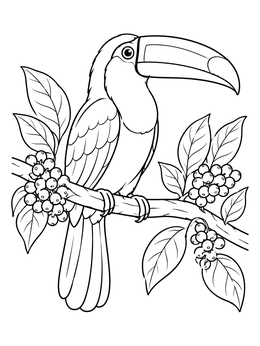 A keel-billed toucan on a berry branch in this tropical coloring page.