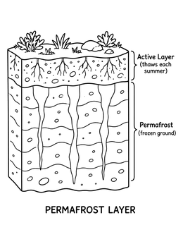 Free printable Permafrost Layer Soil Cross Section coloring page