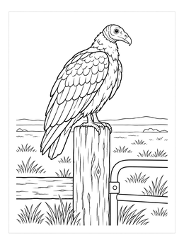 A turkey vulture coloring page showing a bird perched atop a wooden post in an open field.