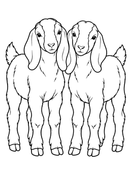 Free printable Twin Boer Goat Kids Standing Together coloring page