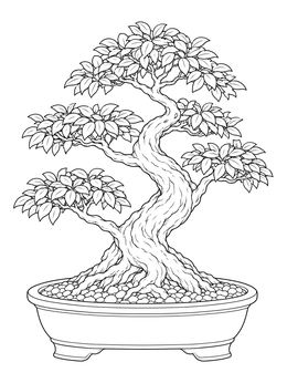 A twisted potted bonsai tree coloring page with detailed bark and leaves.