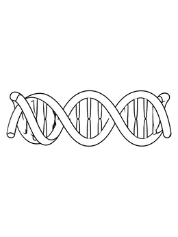 Free printable Twisting Horizontal Dna Strand coloring page