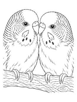 Free printable Two Budgies Roosting On A Branch coloring page