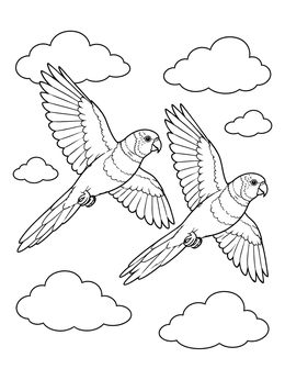 A pair of birds in flight on this lorikeet coloring page surrounded by fluffy clouds.
