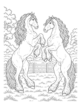 Detailed friesian horse coloring page showing two magnificent stallions rearing playfully in a pasture.