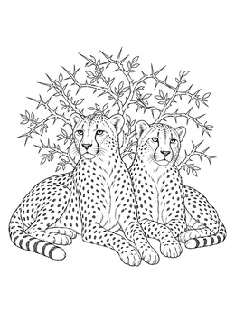 A detailed cheetah coloring page featuring two wild cats resting before a thorny bush.