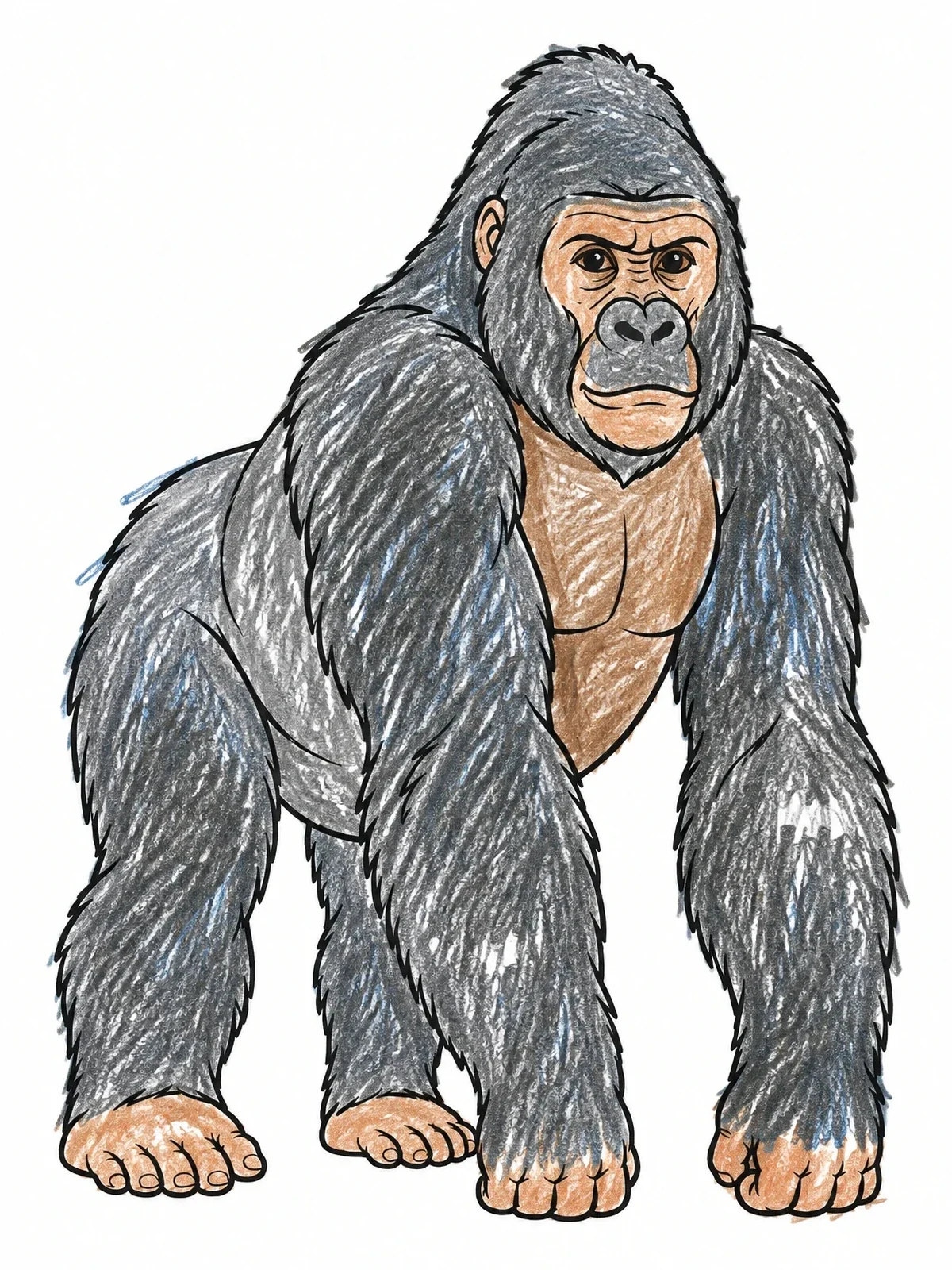 Colored example of the Mountain Gorilla From Uganda coloring page