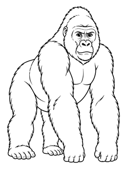 Free printable Mountain Gorilla From Uganda coloring page