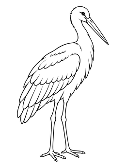 Free printable Standing White Stork Bird coloring page