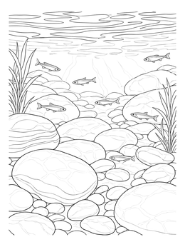 Free printable Underwater River Pebbles And Minnows coloring page
