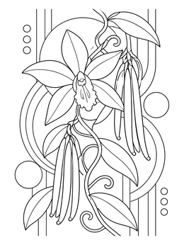 Detailed vanilla orchid coloring page with climbing vines and geometric circles.