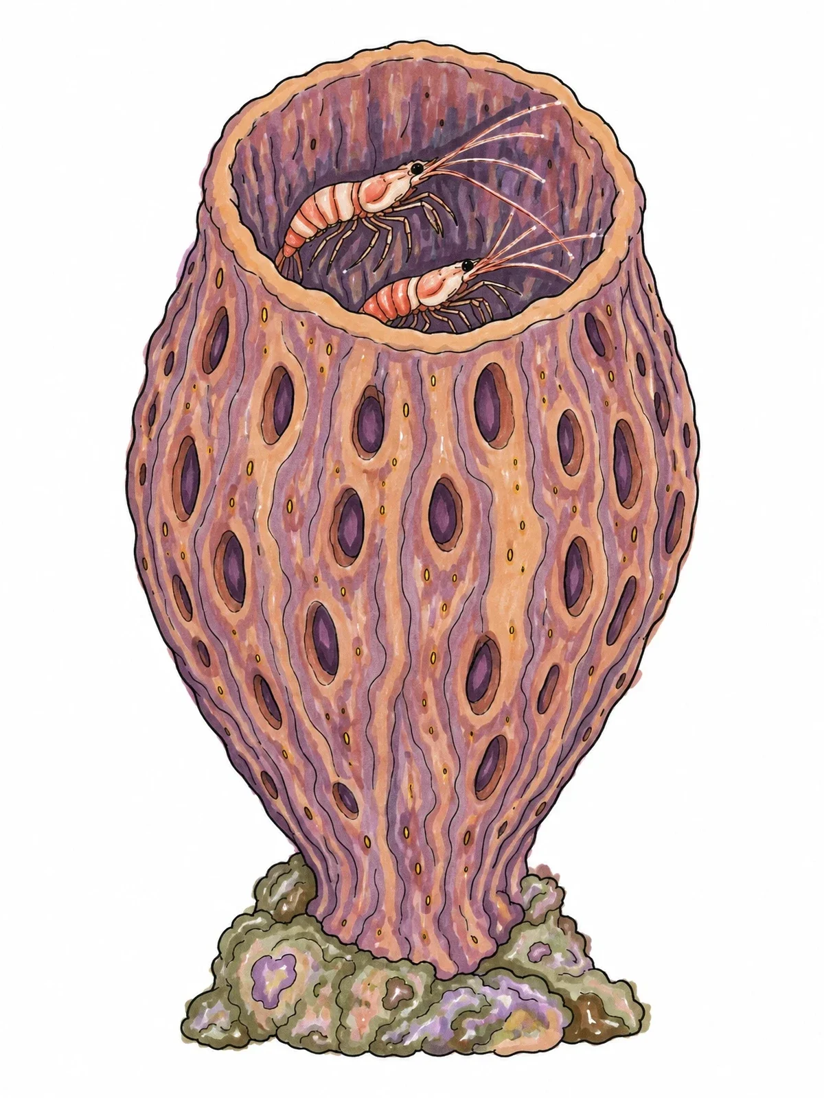 Colored example of the Vase Sponge With Tiny Shrimp coloring page