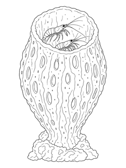 A detailed vase sponge coloring page featuring two small shrimp sheltered inside.