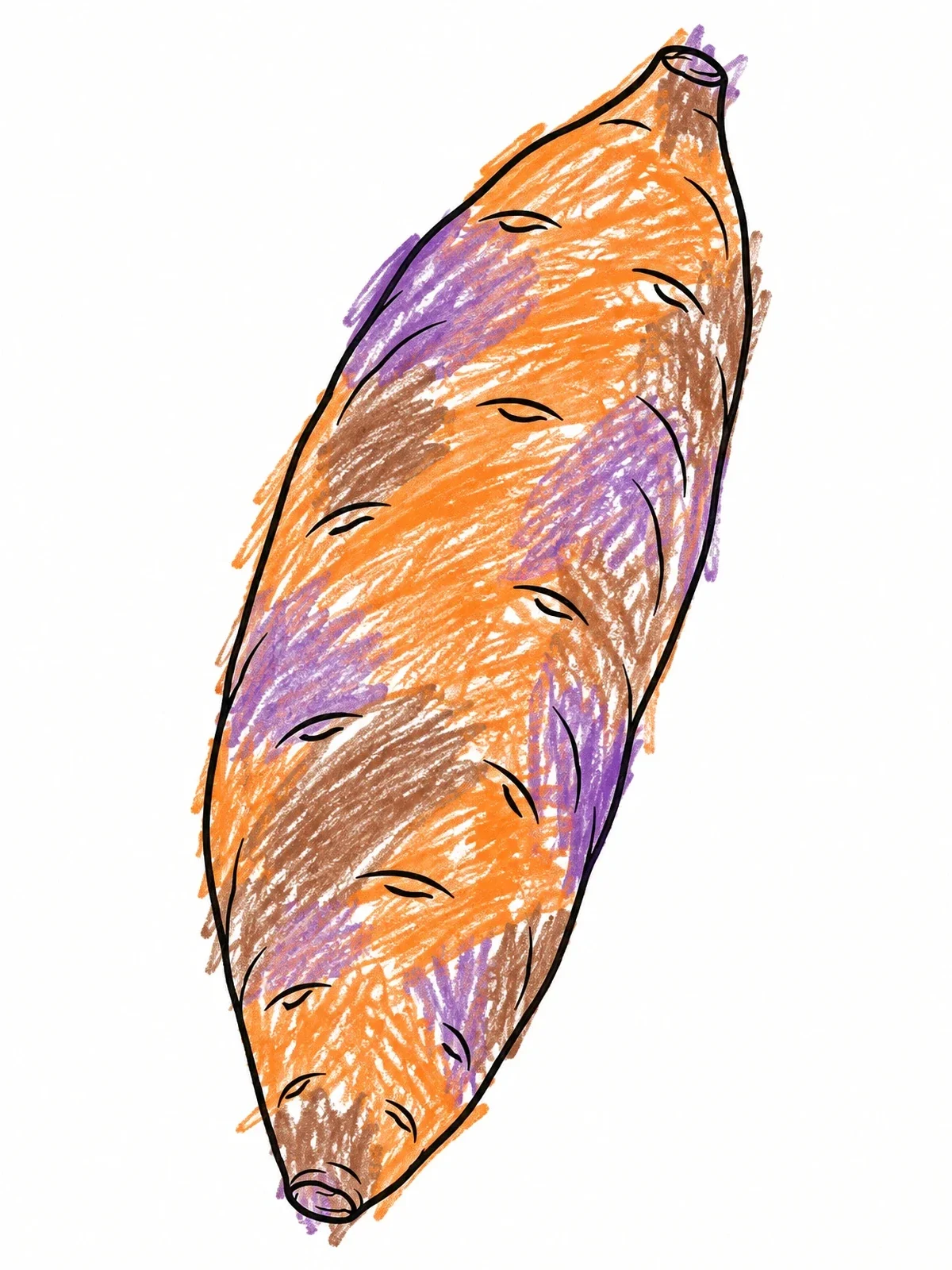 Colored example of the Elongated Raw Sweet Potato coloring page