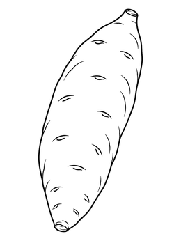 An elongated raw sweet potato in this simple vegetable coloring page.