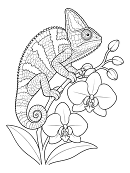 A detailed chameleon coloring page with a veiled chameleon perched among blooming orchid flowers.