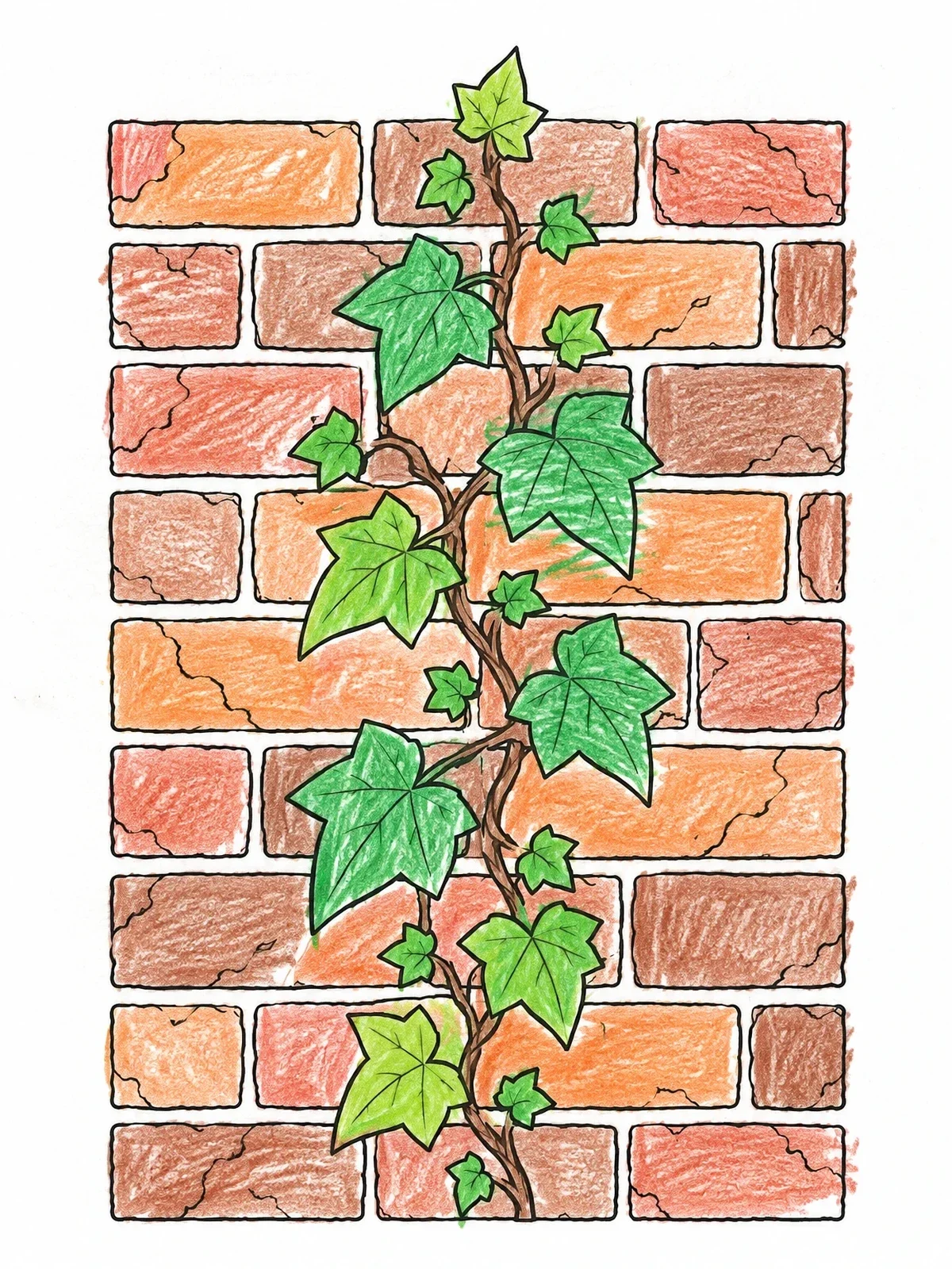 Colored example of the English Ivy On Brick Wall coloring page
