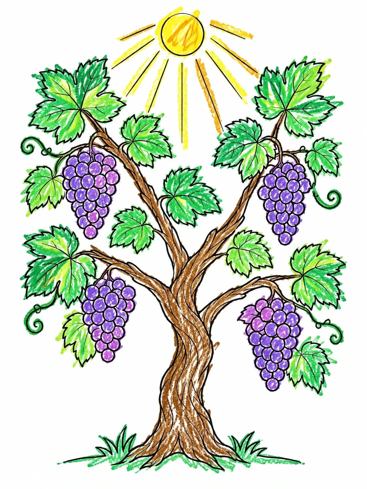Colored example of the Grapevine Stock Under The Sun coloring page