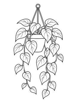 Free printable Hanging Pothos Vine In Pot coloring page