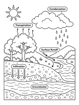 Free printable Water Cycle Cross Section Diagram coloring page