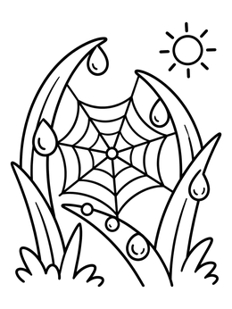 Free printable Morning Dew On Grass And Spiderweb coloring page