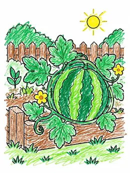 Watermelon Letters Patterned Watermelon On A Garden Border Coloring Page