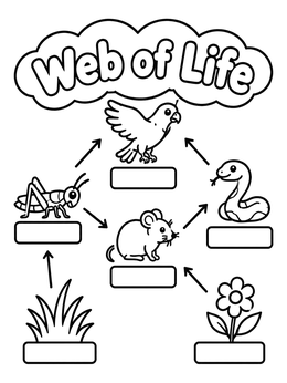 A simple food chain coloring page worksheet showing plants, insects, and animals connected by arrows.