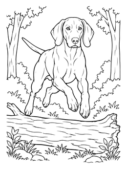 An energetic weimaraner coloring page showing the dog leaping over a fallen log in the forest.